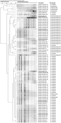 Prevalence and Characterization of Fluoroquinolone Resistant Salmonella Isolated From an Integrated Broiler Chicken Supply Chain